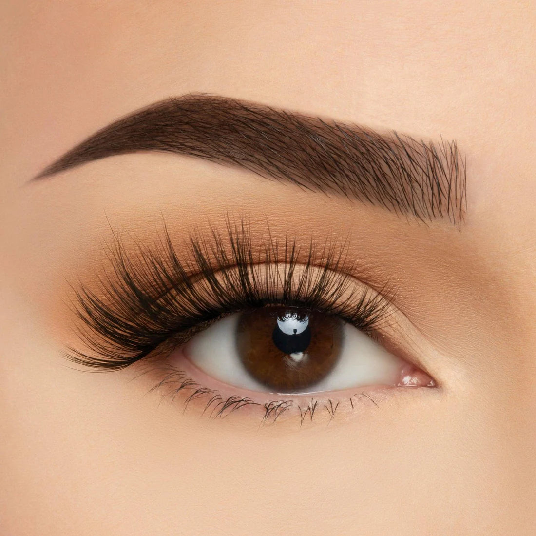 TAKE ME SOMEWHERE SOFT MILK LASHES