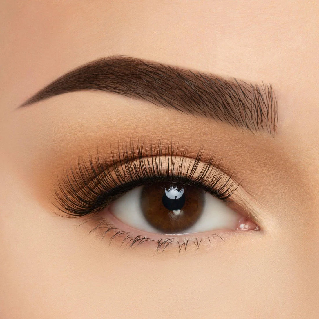TAKE ME SOMEWHERE SOFT MILK LASHES