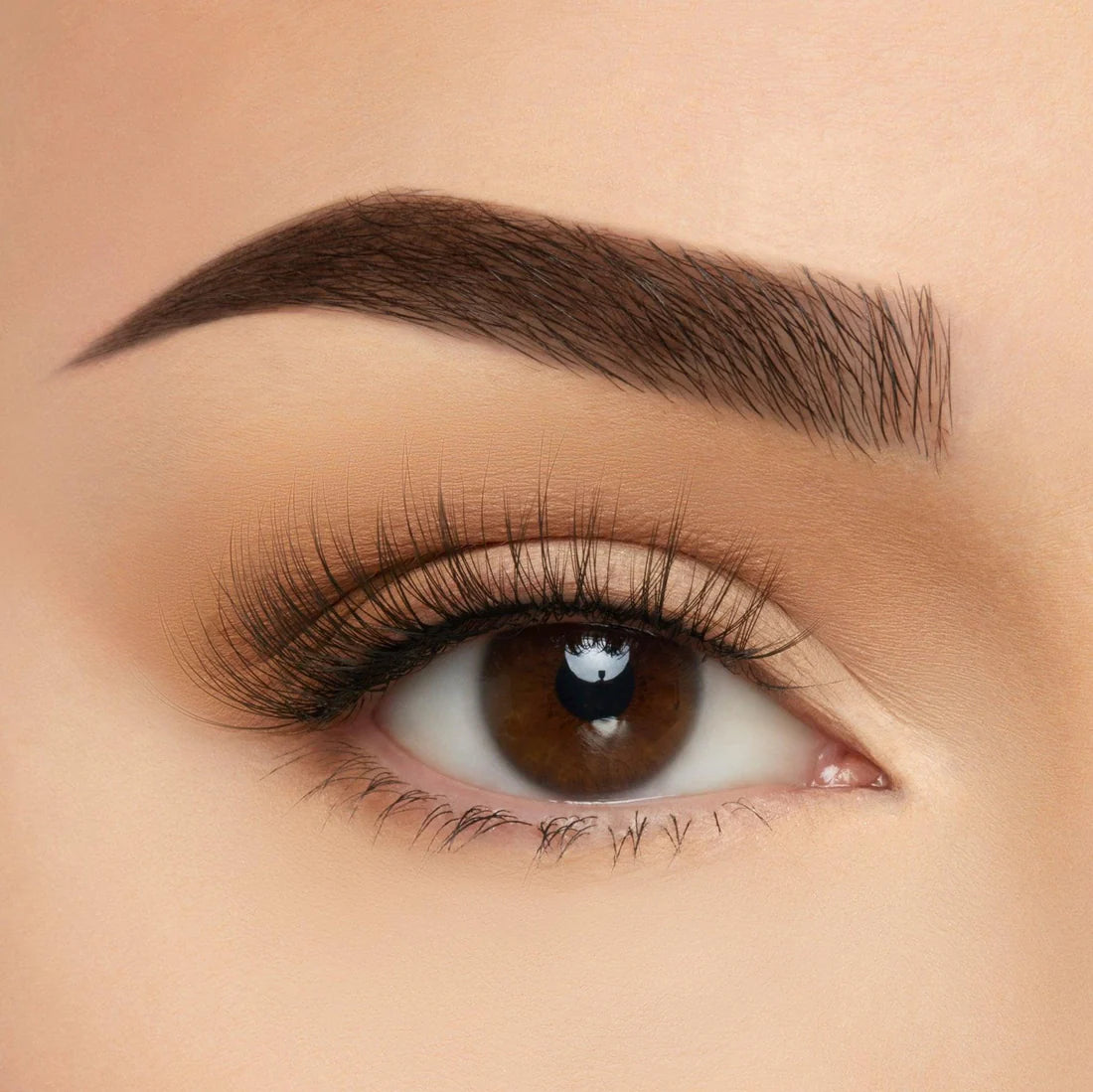 TAKE ME SOMEWHERE SOFT MILK LASHES